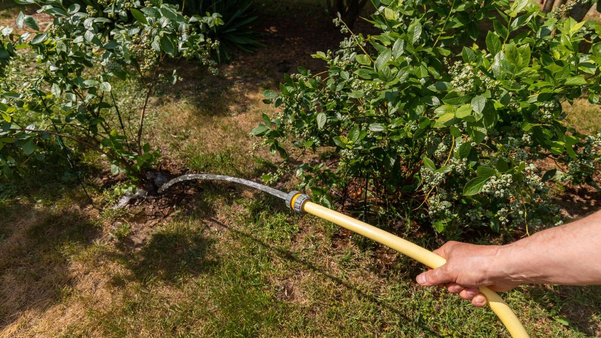 Gminy zmagają się z deficytem wody