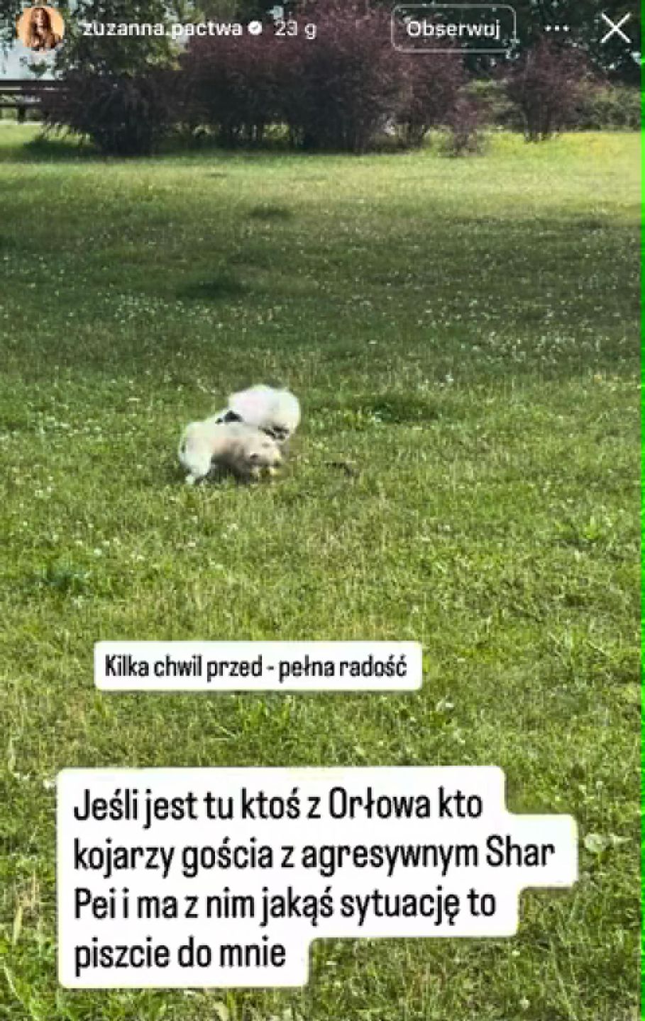 Zuzanna Pactwa miała do czynienia z agresywnym psem