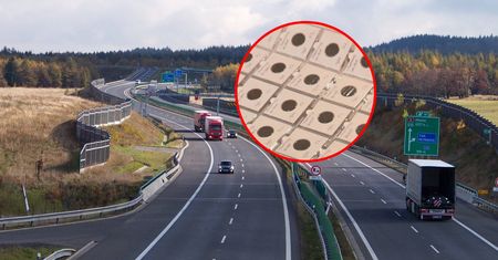 Ponad 400 monet i 1,4 mln zł. Niezwykłe znalezisko przy czeskiej autostradzie