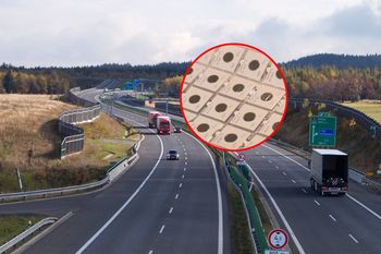 Ponad 400 monet i 1,4 mln zł. Niezwykłe znalezisko przy czeskiej autostradzie