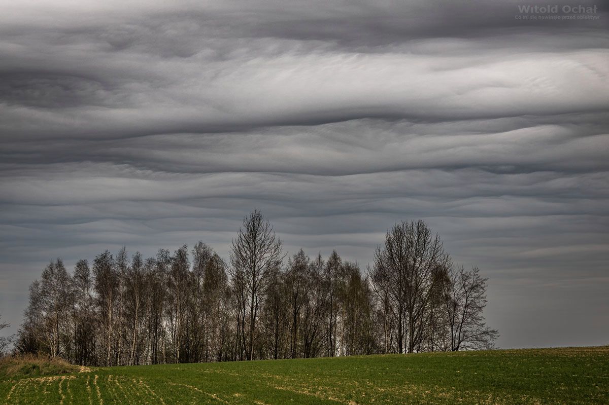 Witold Ochał sfotografował w Polsce nowy gatunek chmur - Asperitas