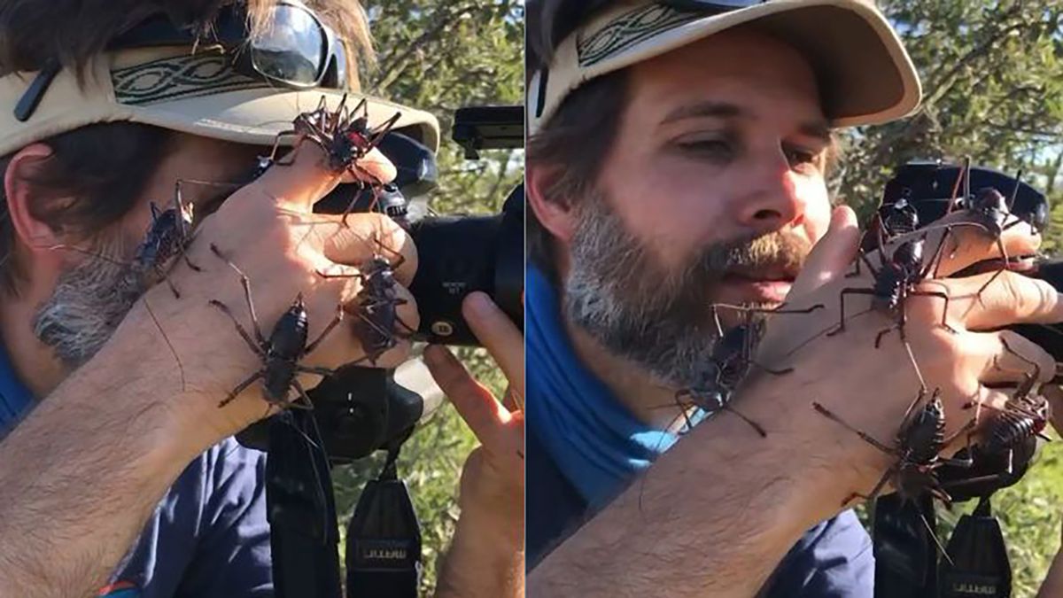 Fotograf National Geographic nie ma łatwo. Wystarczy zobaczyć ten filmik 1