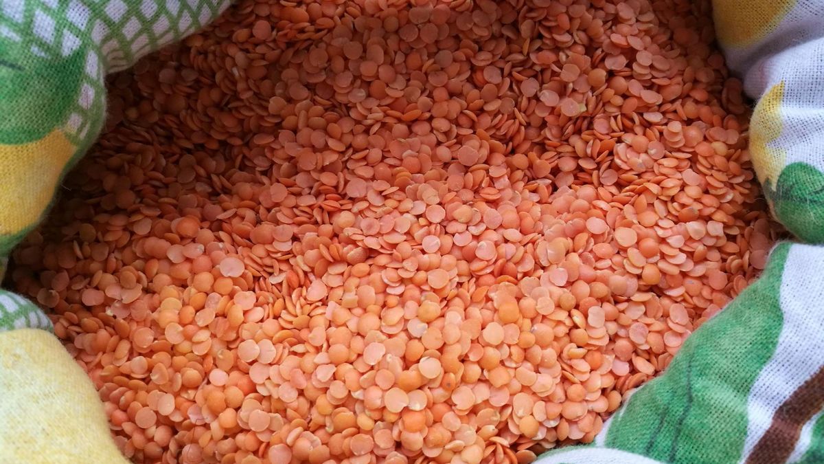 Na co pomaga soczewica?