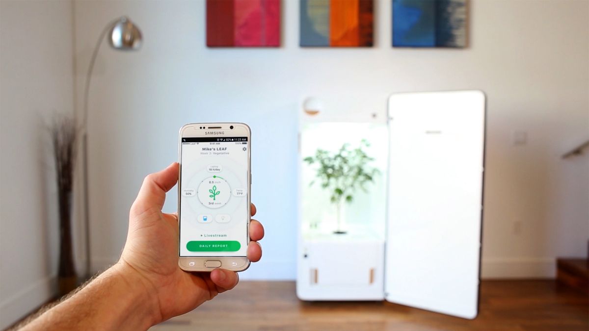 Leaf: domowa fabryka marihuany sterowana smartfonem, czyli plug-and-plant 1