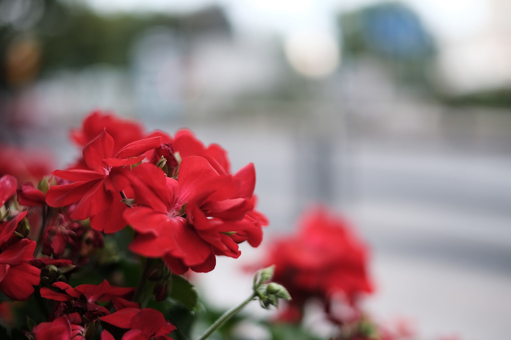 Fujifilm X-T10 – nowoczesny kompromis w dobrym stylu [test] 78