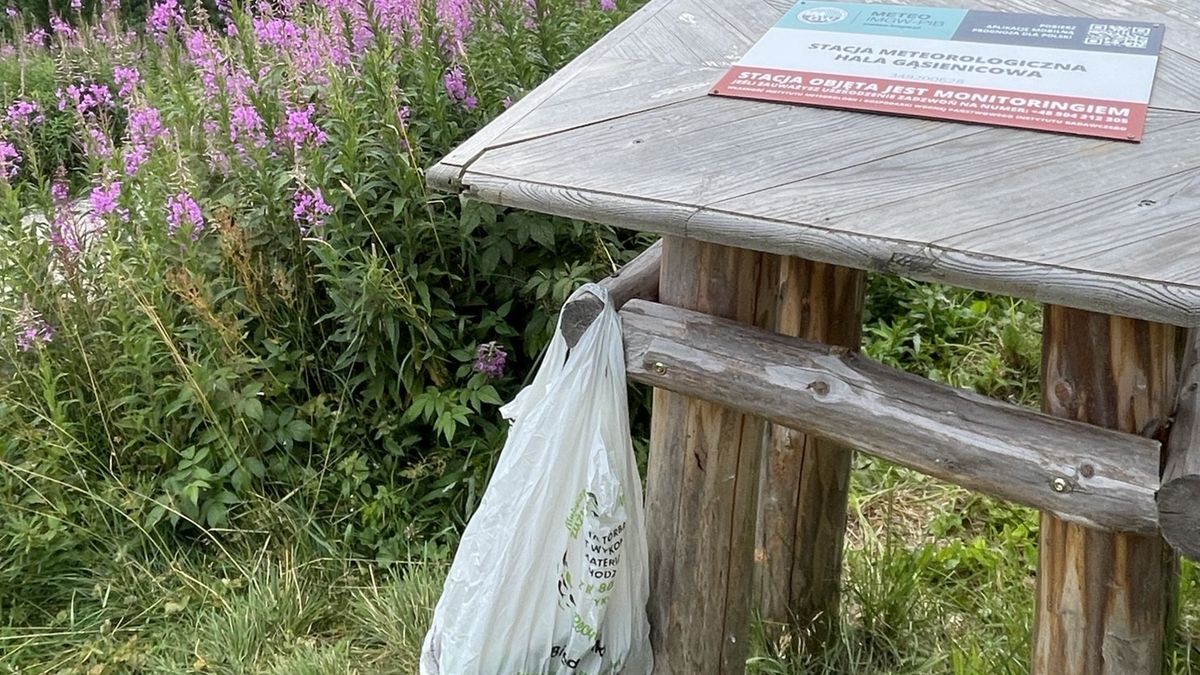 Pracownicy stacji meteologicznej na Hali Gąsienicowej napotkali bulwersujący widok.