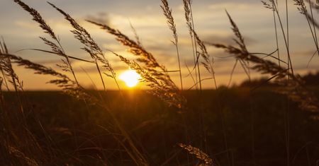 Fala afrykańskich upałów nadciąga nad region słupski. Po chłodniejszym okresie idzie skwar.
