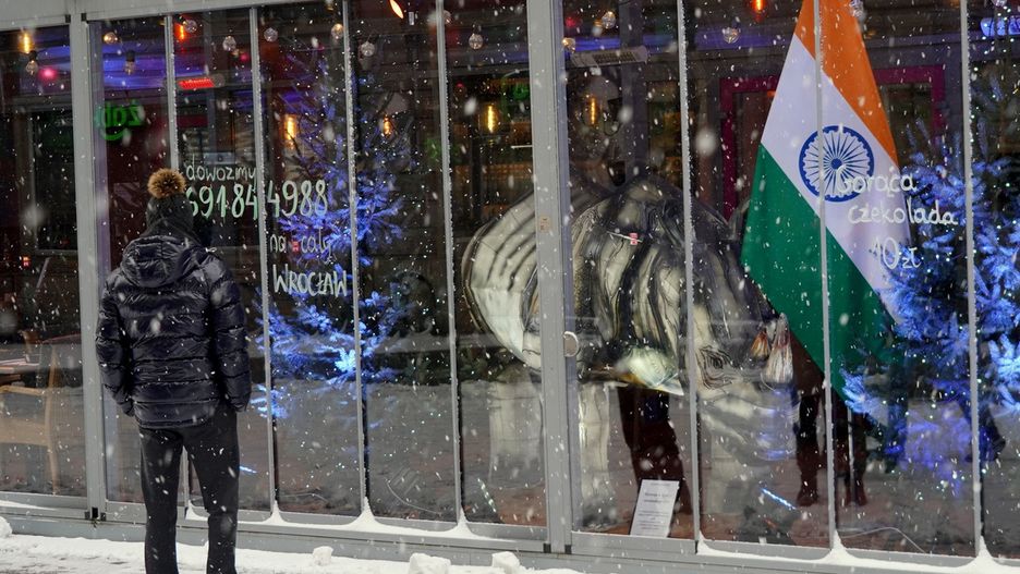 Wrocław. Nosorożec, który stanął za witryną restauracji Masala zachęca do wizyty w ZOO (Materiały prasowe)