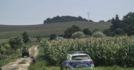 2-latek zniknął w polu kukurydzy. Dramatyczna akcja poszukiwawcza
