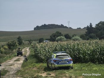 2-latek zniknął w polu kukurydzy. Dramatyczna akcja poszukiwawcza