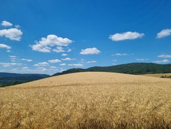 Pogoda na długi weekend w centrum, nad morzem i w górach. Nadchodzi fała upałów! 15  sierpnia będzie lał się z nieba żar