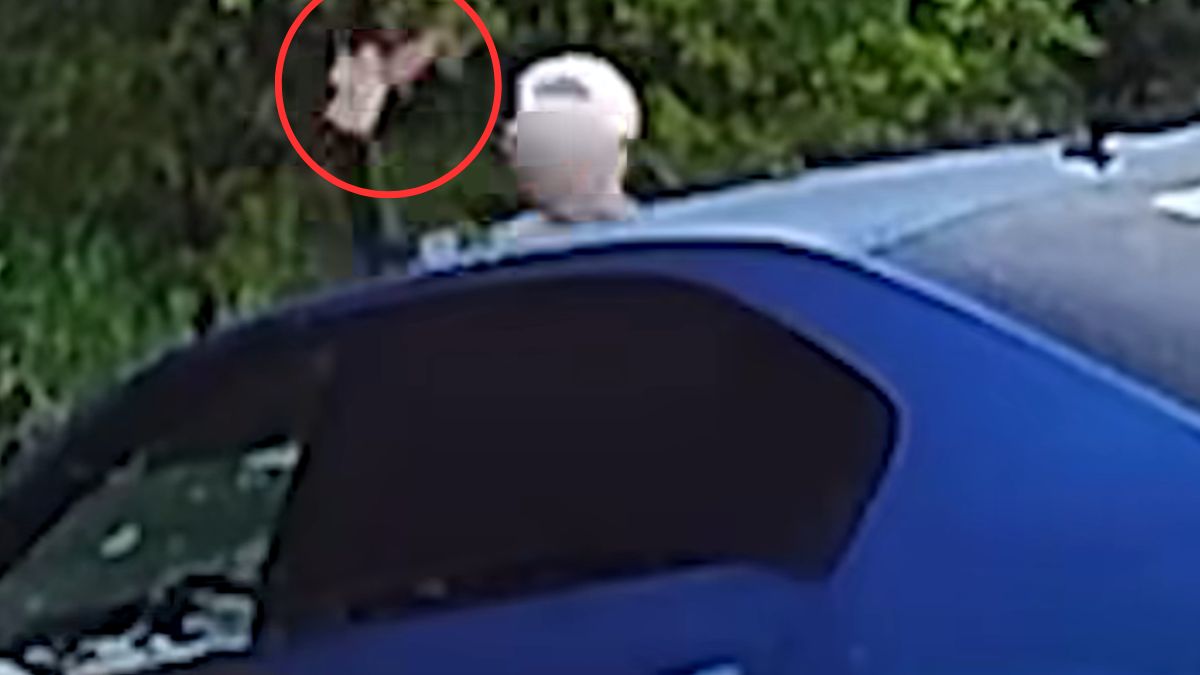 Dwaj młodzi mężczyźni mają regularnie niszczyć samochód.