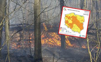 RCB i IMGW ostrzegają. Wysokie zagrożenie pożarowe