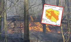 RCB i IMGW ostrzegają. Wysokie zagrożenie pożarowe