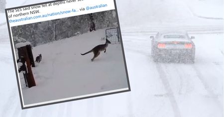 Auta w zaspach, ludzie bez prądu. Śnieżna burza paraliżuje Australię
