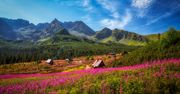 Tatry. Hala Gąsienicowa zachwyca widokiem
