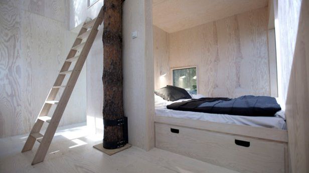 Mirrorcube - teraz każdy może zamieszkać w niesamowitym domku na drzewie 1