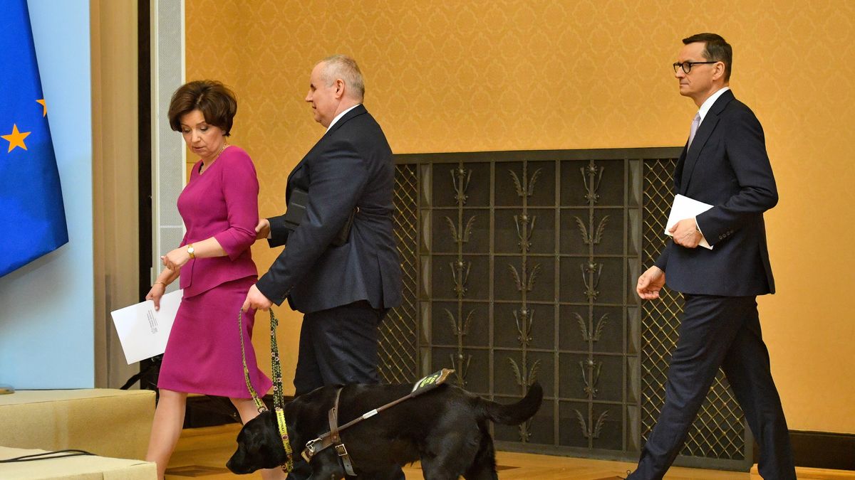 Mateusz Morawiecki, Marlena Mal�g, Pawe� Wd�wik
Radek Pietruszka
