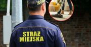 Odkurzasz o tej godzinie? Do drzwi może zapukać straż miejska