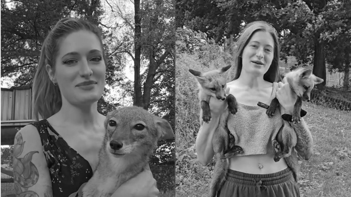 Tragiczna śmierć youtuberki, która ratowała lisy