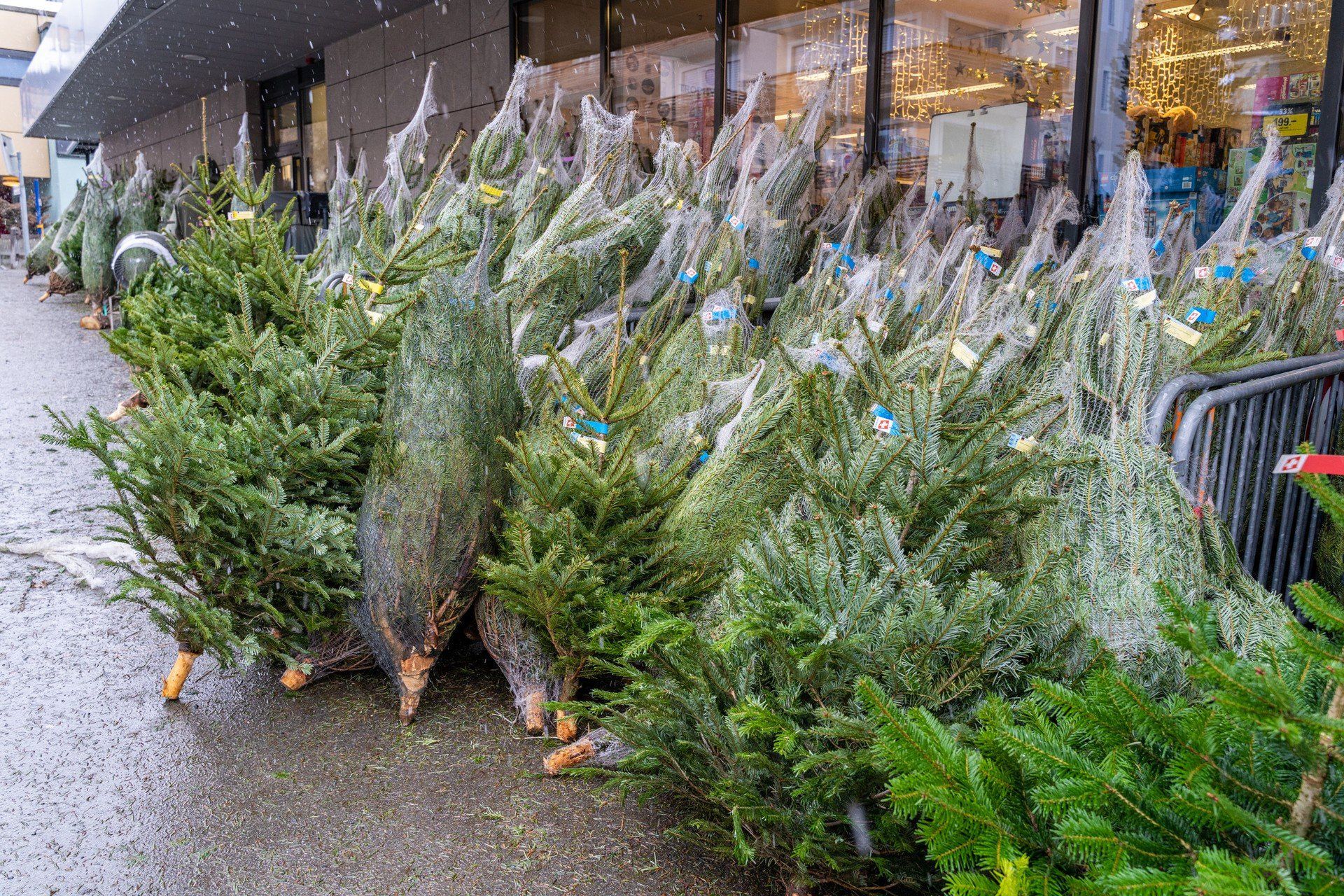 Jaka będzie zima 2025/2026? Prognoza pogody z IMGW