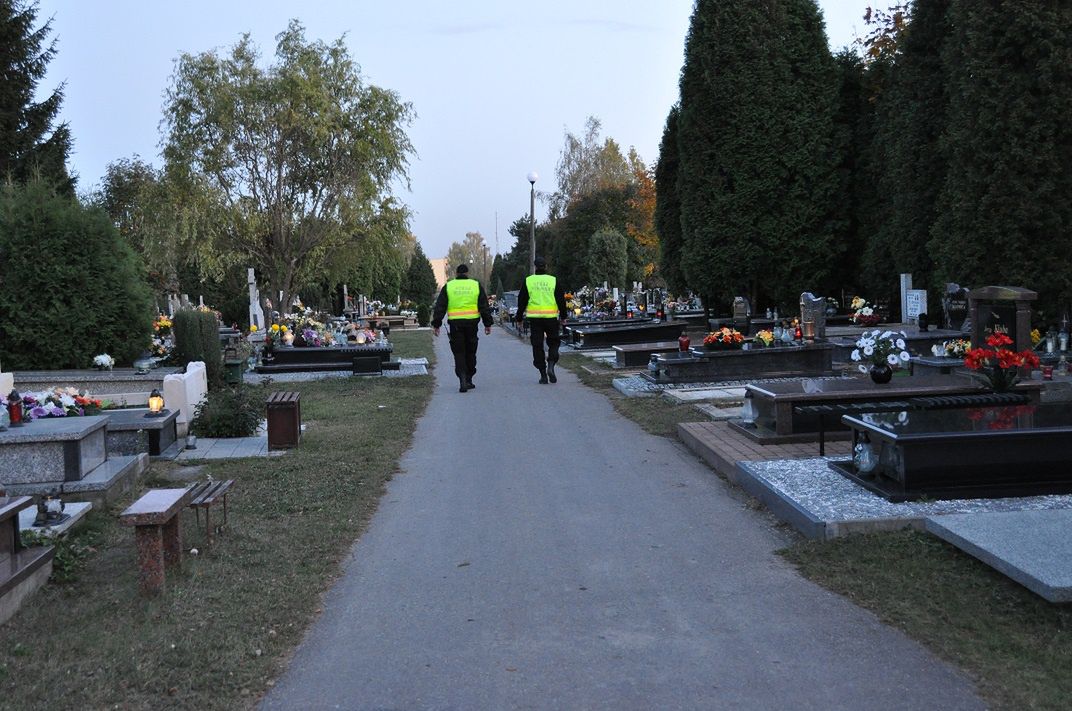 Fotoradary na „cmentarne hieny”? Straż miejska wykorzystuje fotopułapki