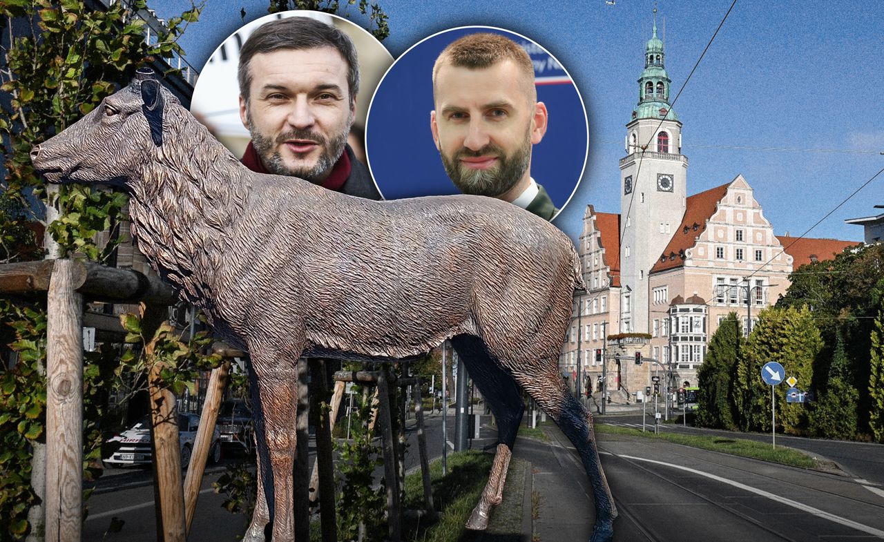 Awantura o chińskiego jelenia. Kosztował 120 tys. Prezydent przeprasza