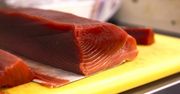 637 tys. dolarów za tuńczyka. 212-kilogramową rybę kupiła restauracja sushi