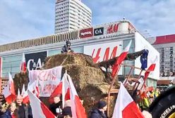 "Słomiany czołg" wjechał do Warszawy. Rolnicy w drodze pod Sejm