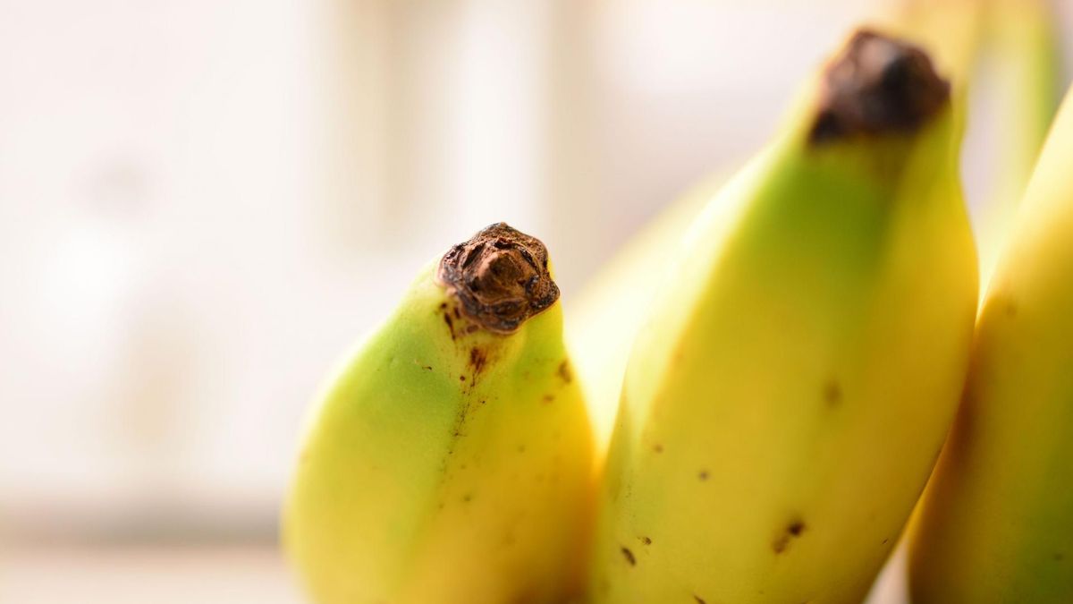Wiele osób odcina końcówki banana przed spożyciem