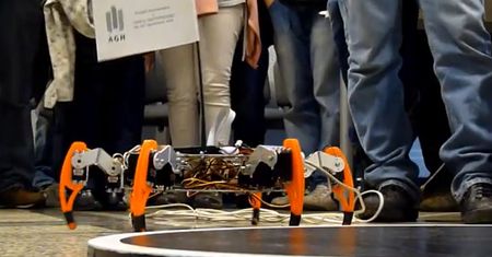 Festiwal Robotyki Robocomp. Główna atrakcja - zawody robotów