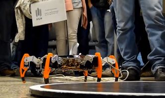 Festiwal Robotyki Robocomp. Główna atrakcja - zawody robotów