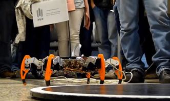 Festiwal Robotyki Robocomp. Główna atrakcja - zawody robotów