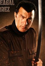 Steven Seagal: Kwalifikacje mistrza