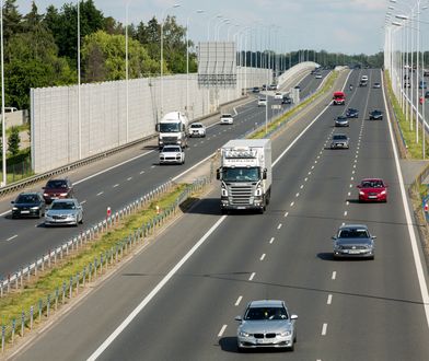 Oto co przyniosły wyższe kary dla piratów drogowych. Liczba wypadków nadal ogromna