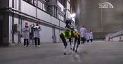 Pies-robot został zatrudniony w Czarnobylu. Sprawdza poziom promieniowania