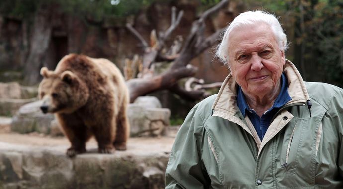 David Attenborough i cuda natury 4