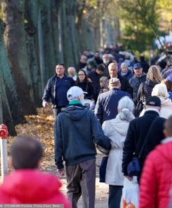 Znicze dla uchodźców z granicy na cmentarzach w Trójmieście