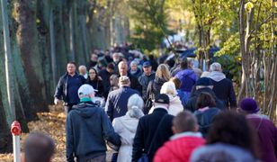 Znicze dla uchodźców z granicy na cmentarzach w Trójmieście