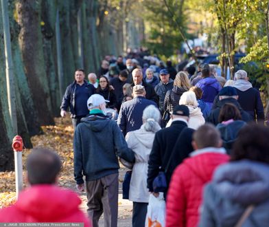 Znicze dla uchodźców z granicy na cmentarzach w Trójmieście