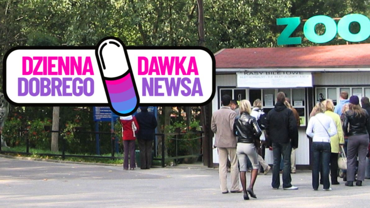 Nowe zwierzęta w gdańskim ZOO.