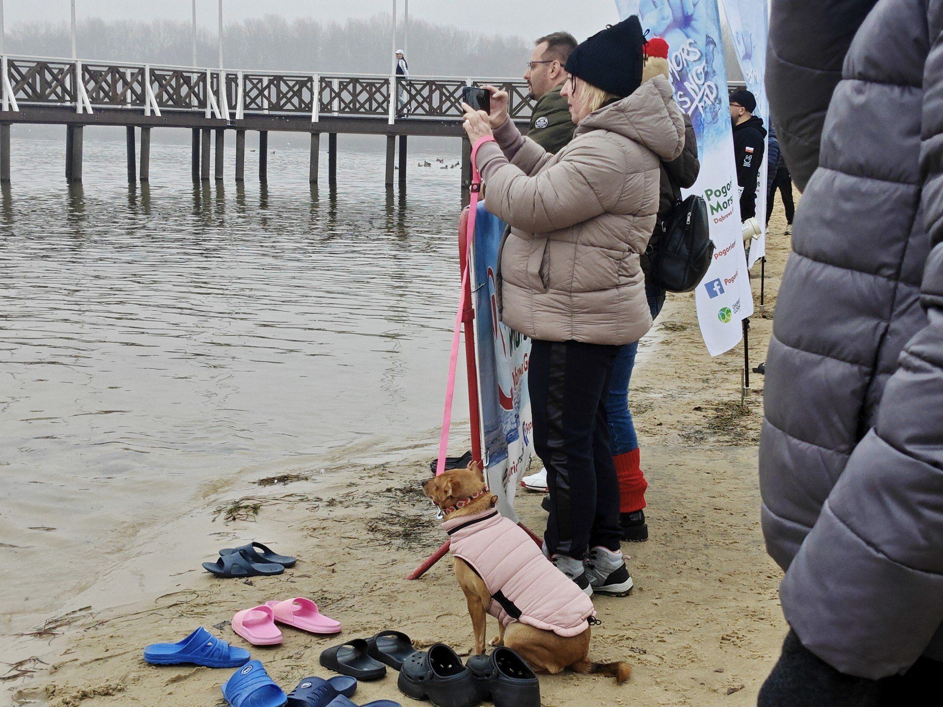 Pogoria Morsuje w Dąbrowie Górniczej. Oni nie boją się zimnej wody