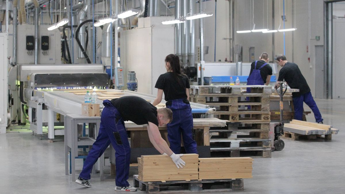 produkcja mebli
Pisz, 09.02.2018. Fabryka mebli Telmex w Piszu, produkuj�c� dla koncernu IKEA, 9 bm. (tw/pkus)
PAP/Tomasz Waszczuk
Tomasz Waszczuk
fabryka, fabryka mebli, IKEA, meble, produkcja, przemys�, przemys� drzewny, Telmex