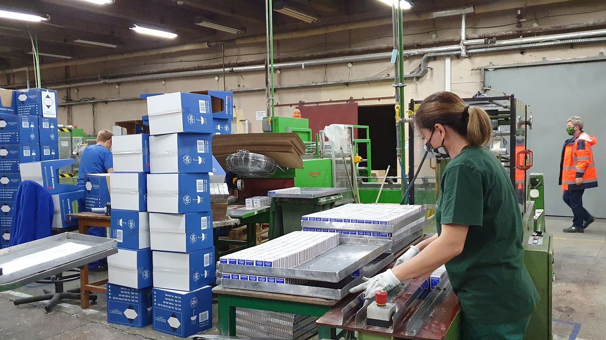 Pracodawcy z umiarkowanym optymizmem patrzą w przyszłość