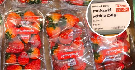 Polskie truskawki pojawiły się w Lidlu. Za słodkie owoce trzeba jednak słono zapłacić
