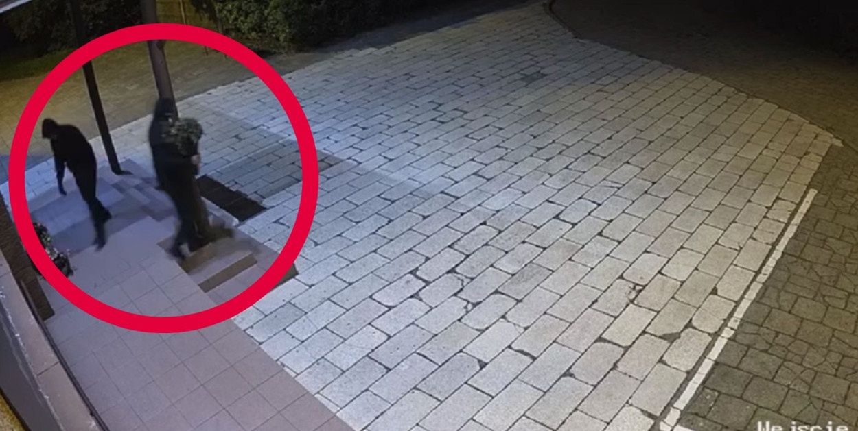 Aleksandrów Kujawski: Szkoła drwi ze złodziei. Poszło o dwie donice