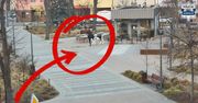 Agresywny 29-latek zatrzymany w Garwolinie – zniszczył figurę i zaatakował policjantów!