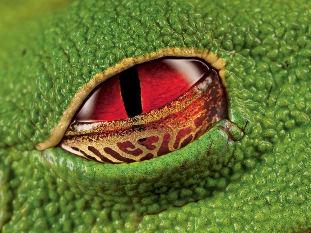 Nie uwierzycie, że te zdjęcia powstały bez pomocy Photoshopa 10