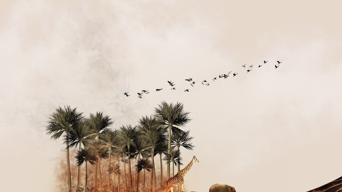 Korzystasz z niej na co dzień, ale czy wiesz, skąd się wzięła? Historia szczoteczki do zębów 1