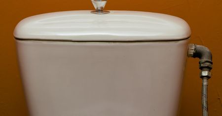 Dlaczego po powrocie z urlopu należy od razu spuścić wodę w toalecie?
